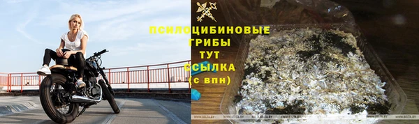 синтетический гашиш Богородск