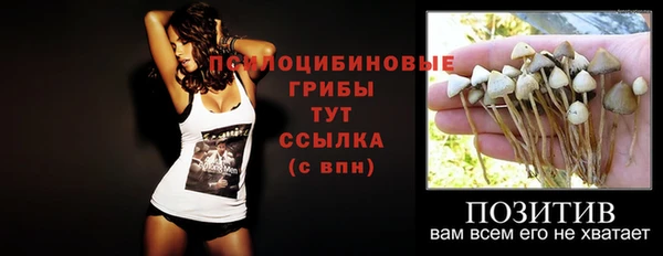 синтетический гашиш Богородск