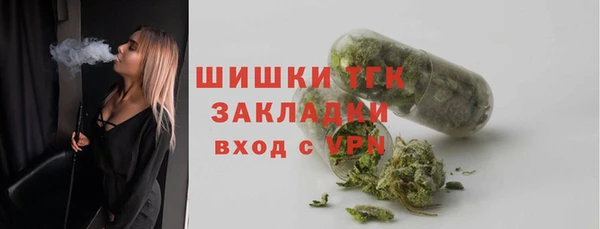 прущие грибы Богородицк