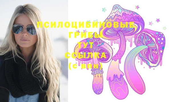 синтетический гашиш Богородск