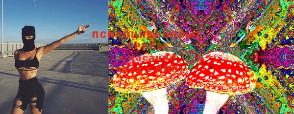 прущие грибы Богородицк