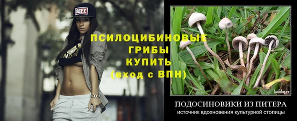 прущие грибы Богородицк