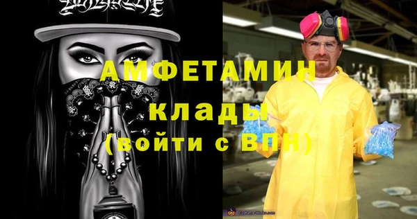 прущие грибы Богородицк