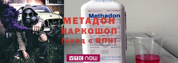 прущие грибы Богородицк