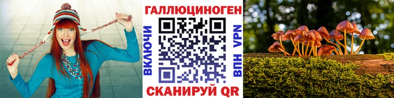 купить закладку  дарк нет какой сайт  Псилоцибиновые грибы прущие грибы  Крым 